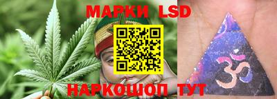 прущие грибы Анжеро-Судженск