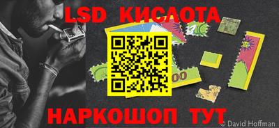 прущие грибы Анжеро-Судженск