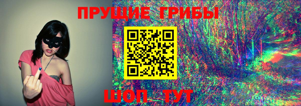 Псилоцибиновые грибы GOLDEN TEACHER  Галлюциногенные грибы Magic Shrooms  Ковров  Вход с VPN 